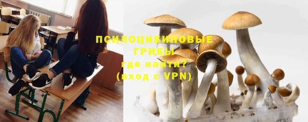 прущие крисы Абинск
