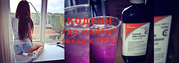 крисы Абаза