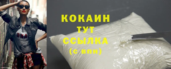 крисы Абаза