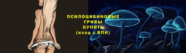 крисы Абаза