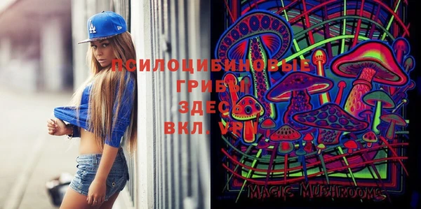 амф Абдулино