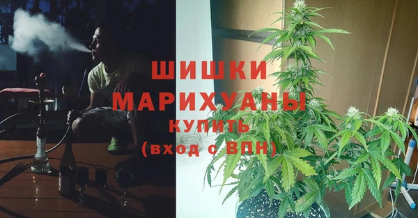 прущие крисы Абинск
