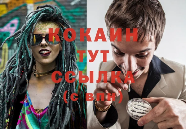 прущие крисы Абинск
