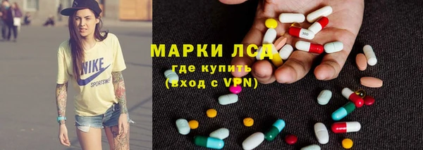 крисы Абаза