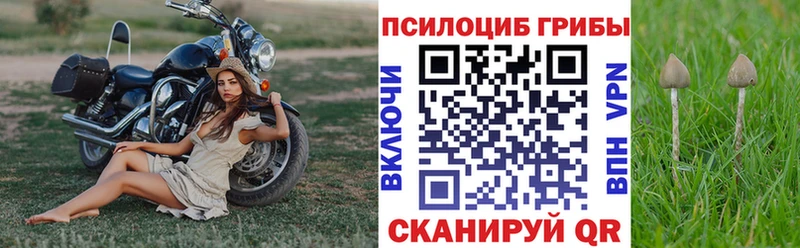 Галлюциногенные грибы мицелий  Юхнов 